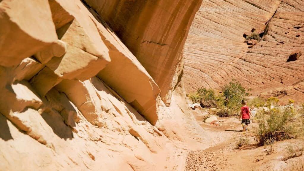 Escapes Desert Willow- Loft Escape * Escalante